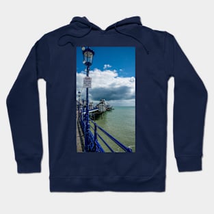 No jumping off the pier Hoodie